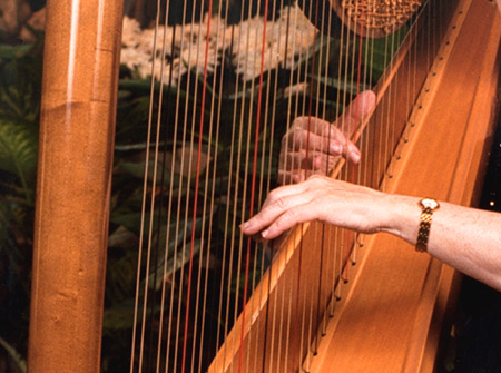 Center at Douglass and Zook