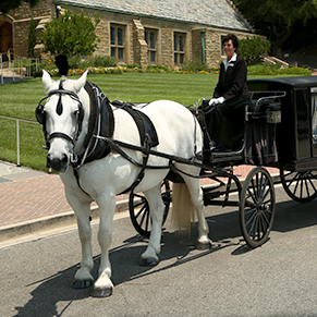 Center at Douglass and Zook