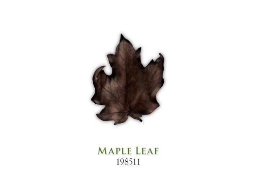 Maple Leaf