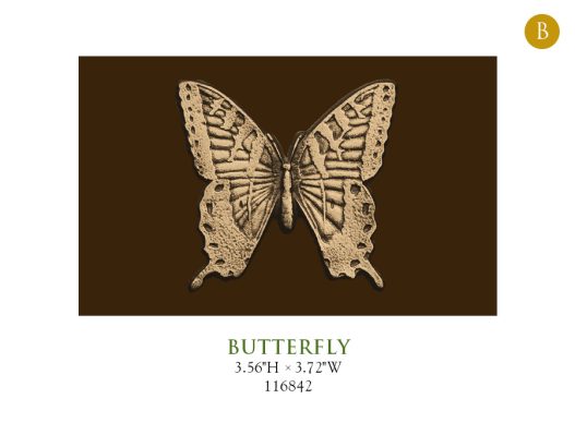 Butterfly 116842