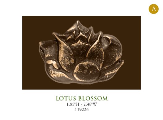 Lotus Blossom 119026