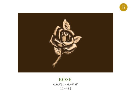 Rose 114482