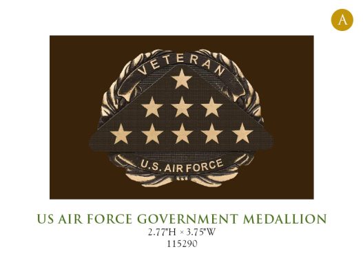 US Air Force Government Medallion 115290