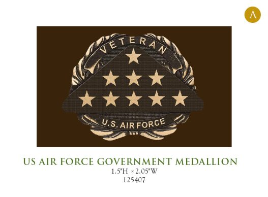 US Air Force Government Medallion 125407